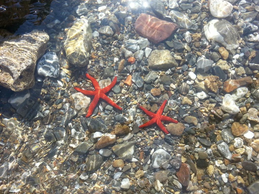 リヴォルノ Cala Dei Moriアパートホテル エクステリア 写真